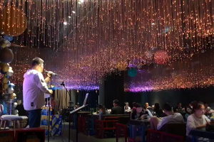 網(wǎng)紅餐廳光纖燈
